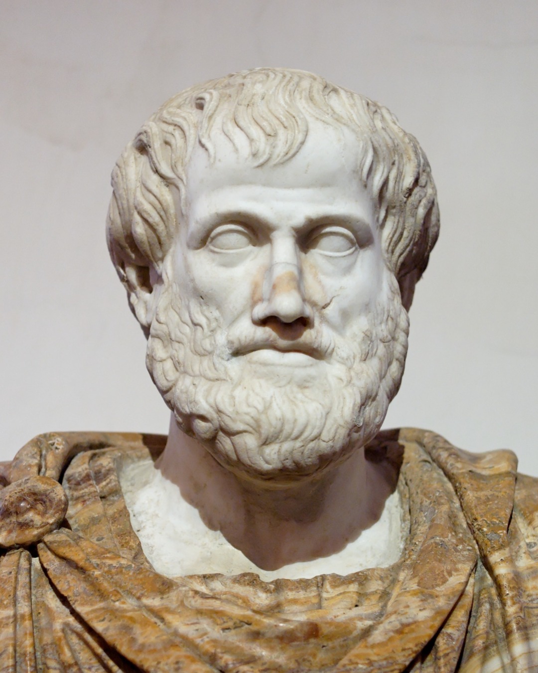 Aristotle - After Lysippos, Public domain, via Wikimedia Commons